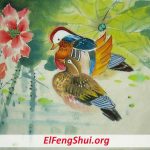 Patos Mandarines Feng Shui Mirándose