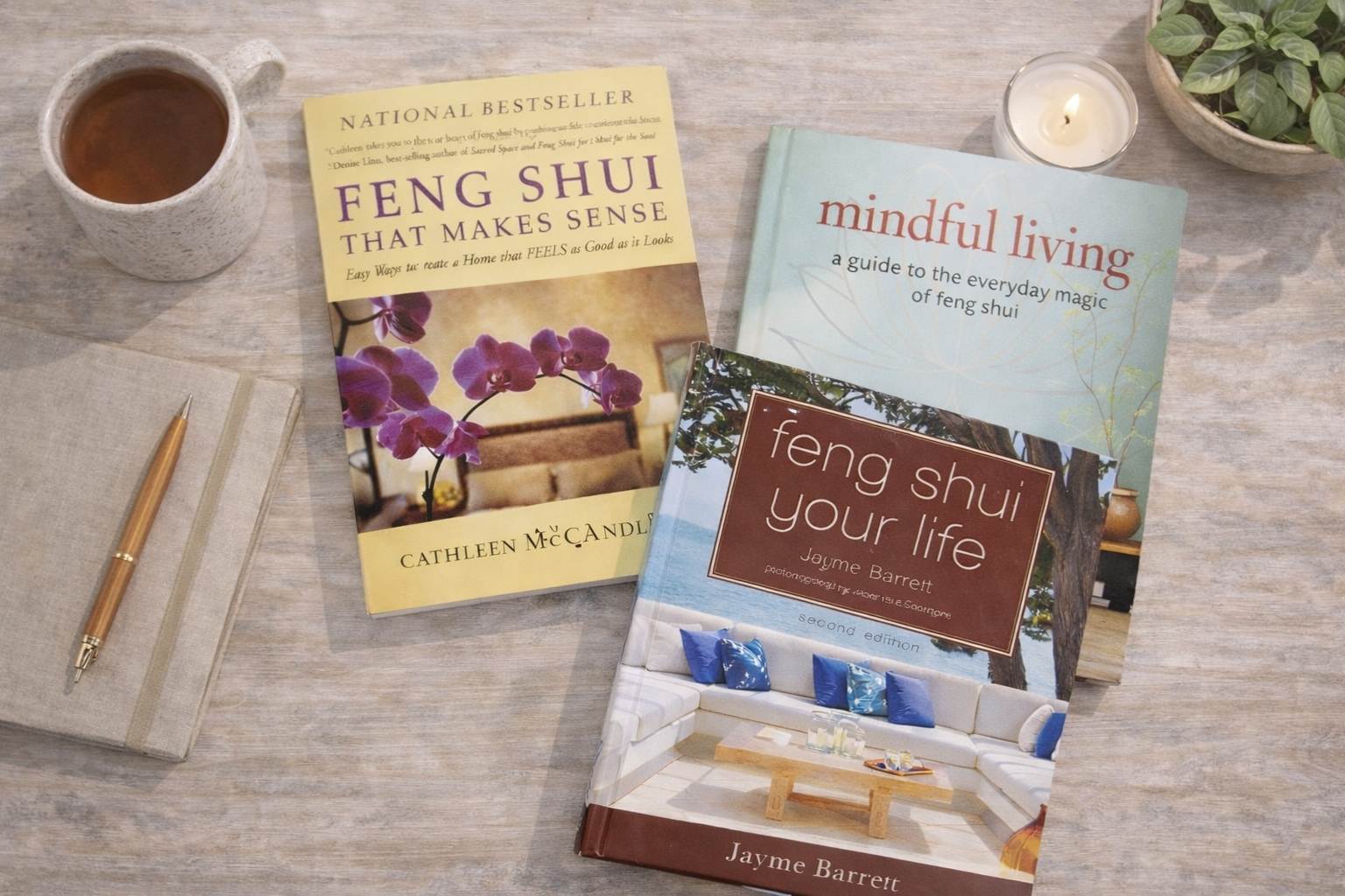 feng shui books for beginners